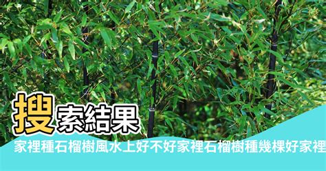 家裡種樟樹好嗎|家裡可以種樟樹嗎